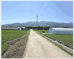  2025Ÿ��1150 ���� ������ ����� ��õ�� 566      ����(��)���