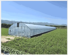  2025Ÿ��1150 ���� ������ ����� ��õ�� 566      ����(��)���