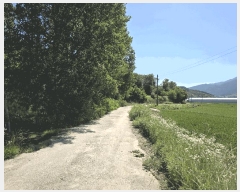  2025Ÿ��1150 ���� ������ ����� ��õ�� 566      ����(��)���