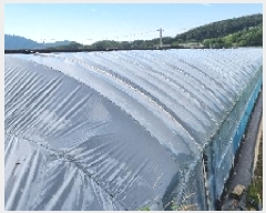  2025Ÿ��1150 ���� ������ ����� ��õ�� 566      ����(��)���