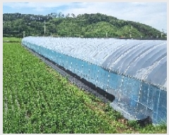  2025Ÿ��1150 ���� ������ ����� ��õ�� 566      ����(��)���