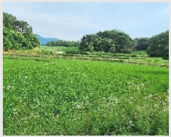  2025Ÿ��1150 ���� ������ ����� ��õ�� 566      ����(��)���