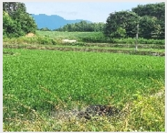  2025Ÿ��1150 ���� ������ ����� ��õ�� 566      ����(��)���