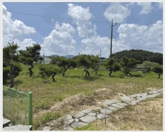  2025Ÿ��1158  ���ð��