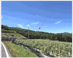  2025Ÿ��1160 ���� ����� ���� ������ ��103-11      ����(�Ӿ�)���