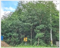  2025Ÿ��1160 ���� ����� ���� ������ ��103-11      ����(�Ӿ�)���