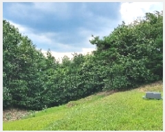  2025Ÿ��1160 ���� ����� ���� ������ ��103-11      ����(�Ӿ�)���