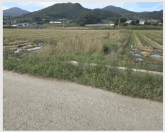  2025Ÿ��1178  ����