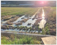  2025Ÿ��1178  ����