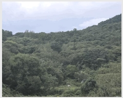  2025Ÿ��1182 ���� ��â�� ǳ��� �װ 500-2      ����(��)���