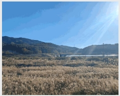  2025Ÿ��1190  �Ӿ߰��