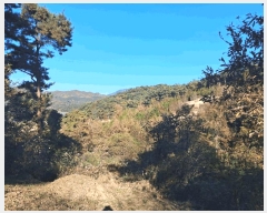  2025Ÿ��1190  �Ӿ߰��