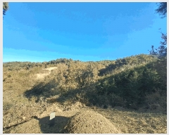  2025Ÿ��1190  �Ӿ߰��