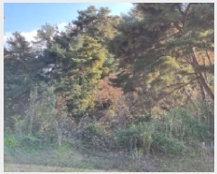  2025Ÿ��1190  �Ӿ߰��