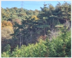  2025Ÿ��1190  �Ӿ߰��