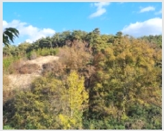  2025Ÿ��1190  �Ӿ߰��