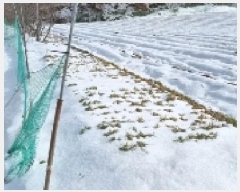  2025Ÿ��30124 ���� ��â�� �ݰ��� �뼺�� 5-1      ����(��1)���