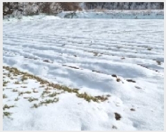  2025Ÿ��30124 ���� ��â�� �ݰ��� �뼺�� 5-1      ����(��1)���