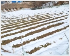  2025Ÿ��30124 ���� ��â�� �ݰ��� �뼺�� 5-1      ����(��1)���