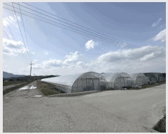  2025Ÿ��30152  ����