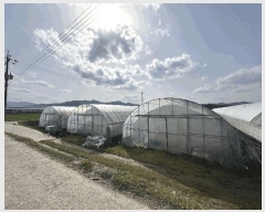  2025Ÿ��30152  ����