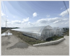  2025Ÿ��30152  ����