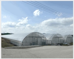  2025Ÿ��30152  ����