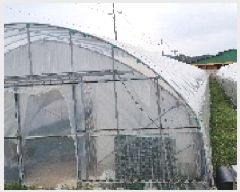  2025Ÿ��30152  ����