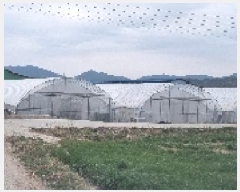  2025Ÿ��30152  ����