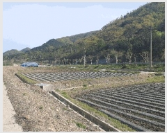  2025Ÿ30162  â ġ ߾ȸ 198      ()