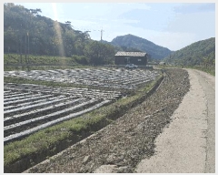  2025Ÿ30162  â ġ ߾ȸ 198      ()