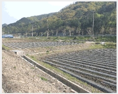  2025Ÿ30162  â ġ ߾ȸ 198      ()