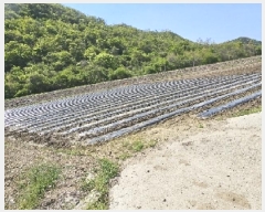  2025Ÿ30162  â ġ ߾ȸ 198      ()