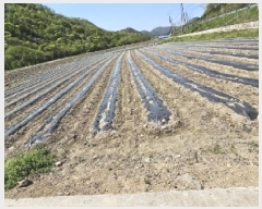  2025Ÿ30162  â ġ ߾ȸ 198      ()