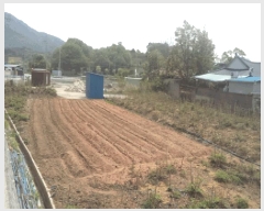  2025Ÿ��30168 ���� ��â�� �ȴ��� ���渮 477-2      ����(��)���