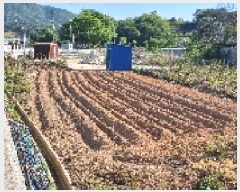  2025Ÿ��30168 ���� ��â�� �ȴ��� ���渮 477-2      ����(��)���