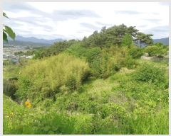  2025Ÿ��30174 ���� ������ ���� �ݼ��� ��34-2      ����(�Ӿ�)���