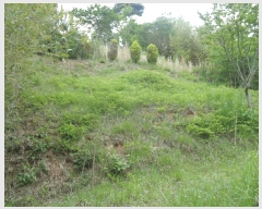  2025Ÿ��30174 ���� ������ ���� �ݼ��� ��34-2      ����(�Ӿ�)���