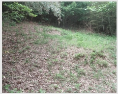  2025Ÿ��30174 ���� ������ ���� �ݼ��� ��34-2      ����(�Ӿ�)���