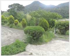  2025Ÿ��30174 ���� ������ ���� �ݼ��� ��34-2      ����(�Ӿ�)���