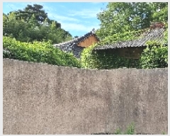  2025Ÿ��30190 ���� ������ �ο��� ��ϸ� 340-1      ���ð��