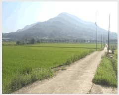  2025Ÿ��30214  ����