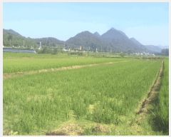  2025Ÿ��30214  ����