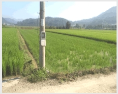  2025Ÿ��30214  ����