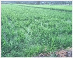  2025Ÿ��30214  ����