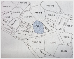  2025Ÿ��30230  ���ð��