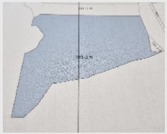  2025Ÿ��30232  ����Ʈ���