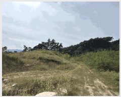  2025Ÿ��30248 ���� ������ �̹�� ȿ�⸮ 456-10      ������