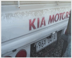  2025Ÿ��30266 ������ �񼮱� 46 (���׵�79) ����������      �������