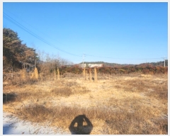  2025Ÿ1027   ̵ 82-2       ()